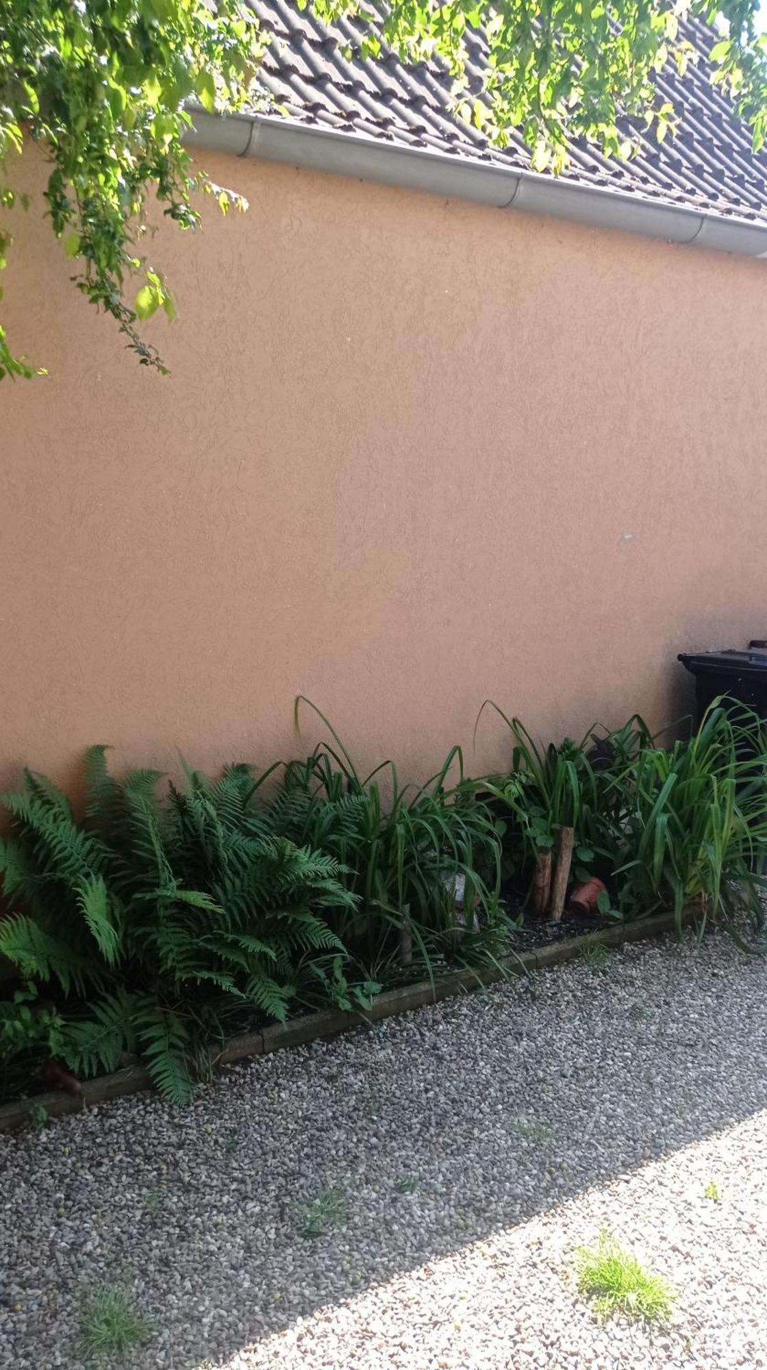 Appartamento Garden Duplex Sundhoffen Esterno foto