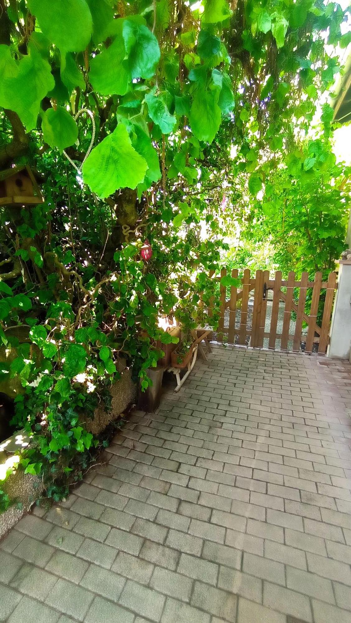 Appartamento Garden Duplex Sundhoffen Esterno foto