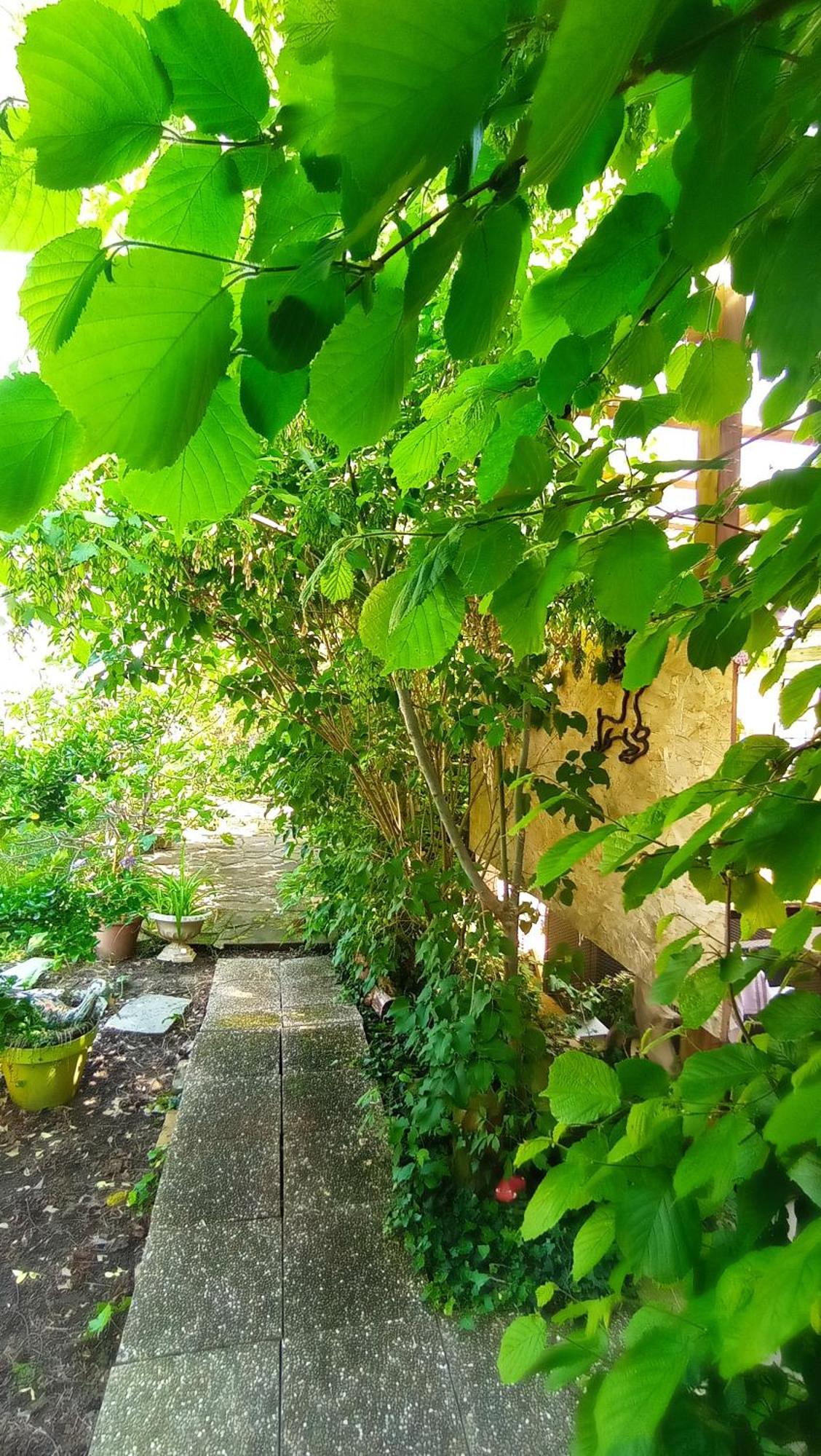 Appartamento Garden Duplex Sundhoffen Esterno foto